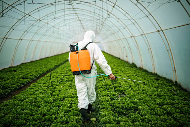 Best Pest Prevention Services  in Batavia, IL