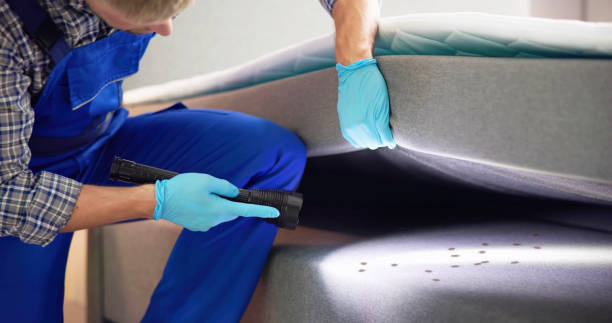 Best Residential Pest Control  in Batavia, IL