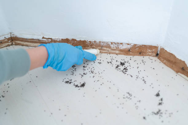 Pest Control Cost in Batavia, IL