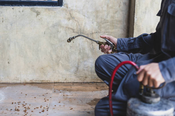 Best Mosquito Control Services  in Batavia, IL